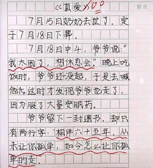 三	年级小学生作文春节