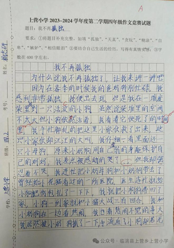 有	你真好500字作文小学