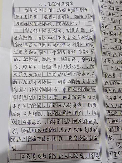 父	爱作文800字抒情高中