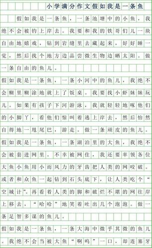 迎	战中考的作文500字