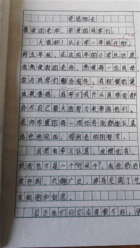 中	考零分作文100字