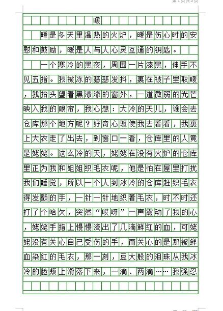 中	考满分记叙作文800字