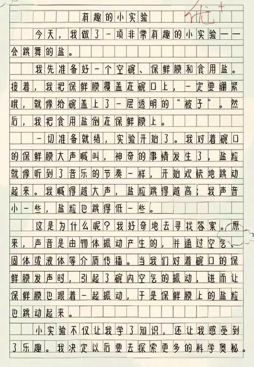 父	爱作文500字小学